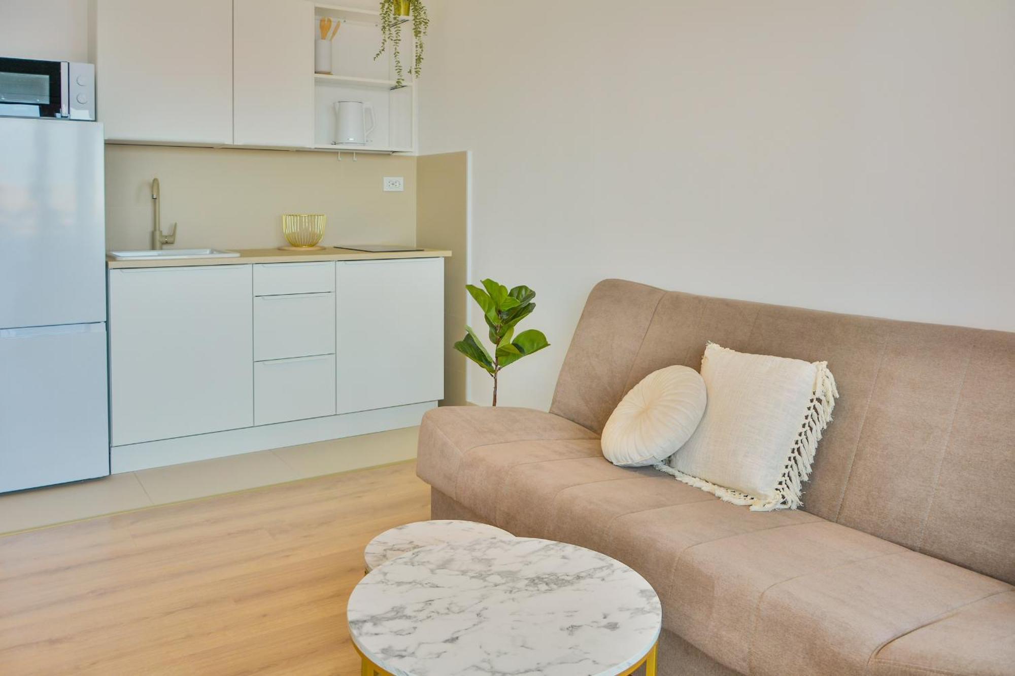 Apartman Elena セニ エクステリア 写真